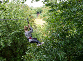 Go Ape's really long zip wire