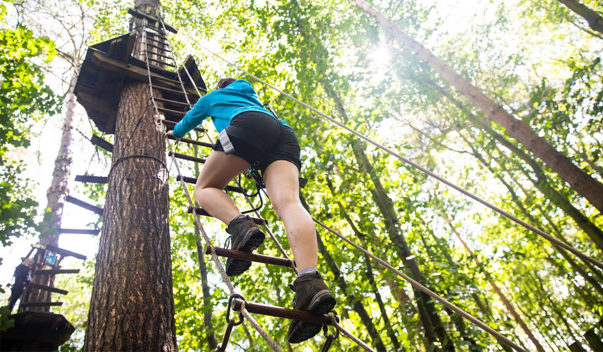 Go Ape - Forest Adventure Leeds Castle - Adventure Park / Playground in ...